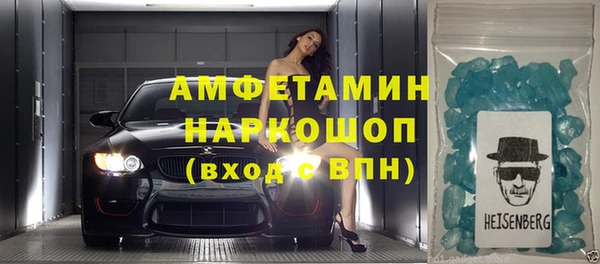 хмурый Аркадак