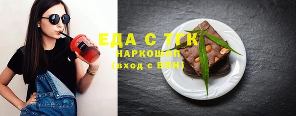 хмурый Аркадак
