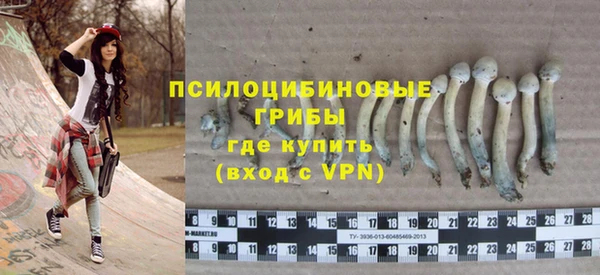 каннабис Арсеньев