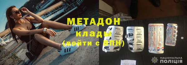 хмурый Аркадак