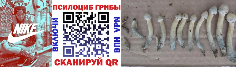 Галлюциногенные грибы GOLDEN TEACHER  Волгодонск 